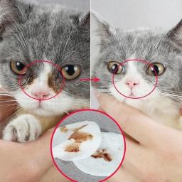 Universal Wet Pet wipes para cães e gatos, Material de tecido não tecido, limpeza de manchas oculares, feito, 1 conjunto, 120 pcs - Image 3