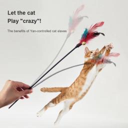 Brinquedos interativos do gato engraçado penas aves com sinos gatinhos jogar teaser vara brinquedos gato suprimentos acessórios do gato - Image 2