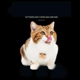 Gato do nervo liofilizado bolo de carne gato petiscos nutrição de engorda guelras em gatinho frango osso cru comida de gato alimento básico - Image 2