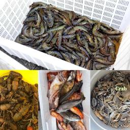 Rede De Pesca De Malha Dobrável, Combater Gaiola, Crayfish Catcher, Armadilha De Peixe, Caranguejo, Cray, Camarão, Armadilhas - Image 2