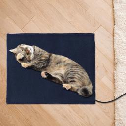 Almofada de aquecimento elétrica média para cães e gatos tapete de aquecimento ajustável interno com 3 - Image 3