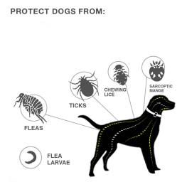 Coleira de Silicone Anti-Flea Pet, Coleira Tick para Cães e Gatos Pequenos, Acessórios para Animais de Estimação, 8 meses - Image 5