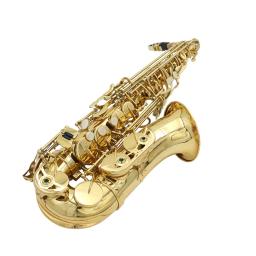 SLADE-Saxofone de bronze com Case, E Sax Plano, Saxofone Alto, Instrumento de Sopros, Reeds Bocal, Luvas, Peças e Acessórios - Image 5