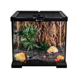 Réptil Pet Glass Feeding Box, Tartaruga Terrário, Serpente Aranha, Lagarto, Sapo com Chifres, Floresta Tropical, Tanque Ecológico, Caranguejo Caracol - Image 6