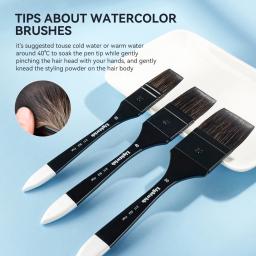 Lighfish-conjunto de pincéis planos, cabelo de esquilo sintético, kit de pincéis para artistas, adultos e hobbies, 3 peças - Image 6