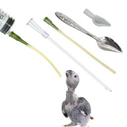 Mangueira conta-gotas para alimentação de pássaros, alimentador pequeno para animais de estimação, tubo de agulha de água, mangueira de injeção líquida, seringa de alimentação de papagaio, kits de colher - Image 1