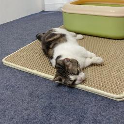 Tapete de areia para gatos com EVA Dupla Camada Caixa de areia antiderrapante impermeável para animais de estimação, cama lavável, almofada limpa, presente - Image 5