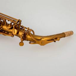 Alto Eb Tune Saxofone com Boquilha Case, Instrumento Musical, Champagne Gold Lacquer, Latão, New Arrival, Frete Grátis - Image 2