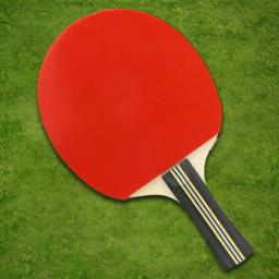 Raquete De Tênis De Mesa Conjunto Com Bolas De Ping Pong, Estojo De Armazenamento, Interior e Exterior, Acessórios Do Jogo - Image 5