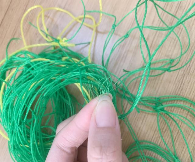 Rede Treliça de Jardim 1.8x5m para Frutas, Legumes e Uvas - Suporte de Escalada