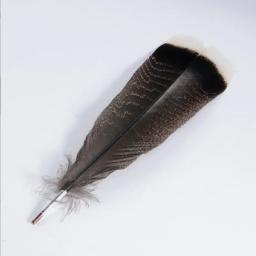 Penas naturais de peru para artesanato, performance de palco, decoração de fantasias, jóias DIY, acessórios vaso, 25-30cm, 10pcs - Image 3