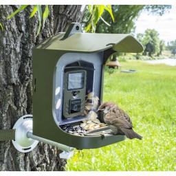 Câmera de observação de pássaros BC-303 câmera de vigilância para animais pequenos com sensor de movimento alimentador de pássaros ao ar livre câmera de pássaros - Image 1