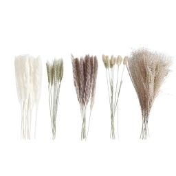 Real Natural Buquê De Flores Secas, Pampas Reed, Pequeno Reed, Rabbit Tail Grass, Home Decor, Mix and Match - Image 4