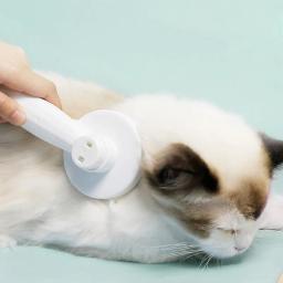 Pente mágico para gato e cão, depilação universal, um clique flutuante, suprimentos de beleza - Image 4