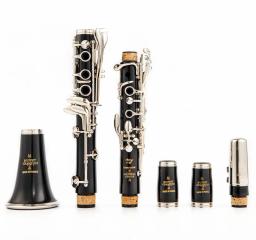 Novo buffet r13 b-flat tune profissional de alta qualidade instrumentos de sopro clarinete tubo preto com acessórios caso - Image 5