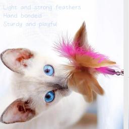 Brinquedos interativos para gatos, Quebra-plumas engraçadas, Vara com Bell, Coleira de animais, Gatinho Jogando Varinha, Brinquedos de treinamento para gatos, Suprimentos - Image 3