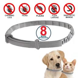 Cão anti pulgas e carrapatos gatos collar pet 8 meses de proteção retrátil pet coleiras para cachorro gato cães de grande porte acessórios - Image 1