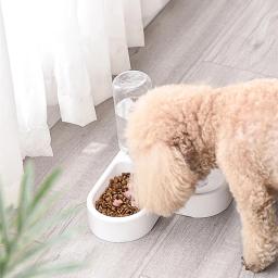 Alimentador automático do animal de estimação com grande capacidade, Pequeno cão e gato beber tigela, Dispenser de água - Image 2