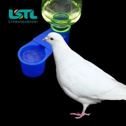 Bacia plástica do bebedor do pássaro do animal de estimação, copos de água da codorna, gato, galinha, pombo, papagaio, hamster, guia dobro da água do bocal - Image 6