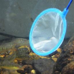 1pc malha fina acessórios do aquário aço inoxidável lidar com aquário tanque de peixes pesca rede de pouso para peixes acessórios - Image 3