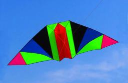 O envio gratuito de 2p 25m dupla linha stunt power kite pulseira diversão ao ar livre brinquedos voando albatroz pipas fábrica parapente - Image 6