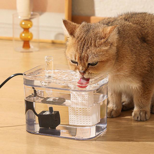 Alimentador Automático para Gatos: Bacia Fácil de Limpar com Distribuidor Destacável e Acessórios para Casa