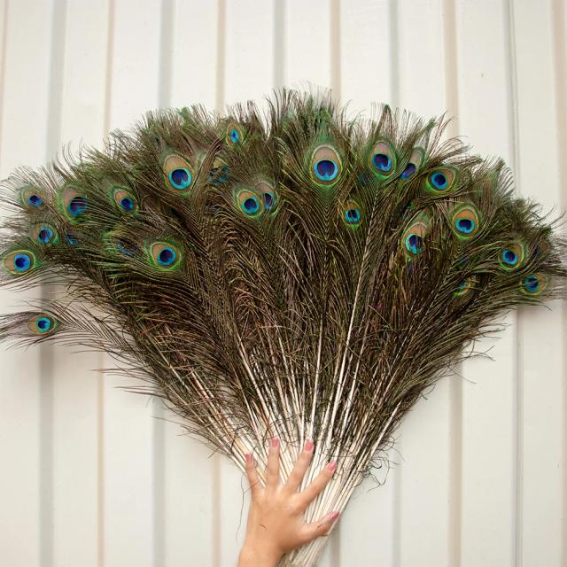 Penas de Pavão de Alta Qualidade para DIY: 10/20 Peças de 40-50cm para Artesanato, Decoração de Mesa e Acessórios de Festa e Casamento