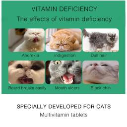Suplemento Multi-Vitamínico para Cães e Gatos, 200 Comprimidos - Image 4