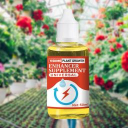 Raiz de enraizamento rápido crescimento, Enhancer crescimento vegetal, Promove Suplemento, Fontes de jardim, Planta de flor, Árvore frutíferas - Image 5