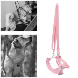 Ajustável Dog Back Legs Sling, Suporte de quadril, Pet para ajuda canina, Reabilitação do ligamento, Arnês de elevação do cão, Perna dianteira - Image 2