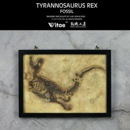 Vitae dinossauro jurássico original coleção fóssil modelo tyrannosaurus rex decoração de parede - Image 3