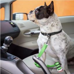 Universal cinto ajustável para gato e cão, veículo elástico e reflexivo, cinto de nylon para pequeno médio e grande cão, acessórios pet - Image 3
