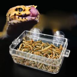 367a ventosa répteis alimentador tigela anti-escape réptil comida tigela bebedor para tartaruga gecko cobras camaleão iguana - Image 5