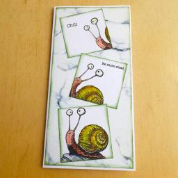 Selos claros de dinossauro de caracol selvagem, corte de metal para decoração diy, scrapbook, cartão de papel, álbum, gravação em relevo, artesanato, 2024 - Image 3