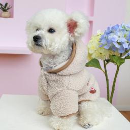 Casaco de inverno com capuz para animais de estimação, roupas para cães e gatos, jaqueta para cachorros, roupas para animais, chihuahua, Yorkie, pug - Image 3