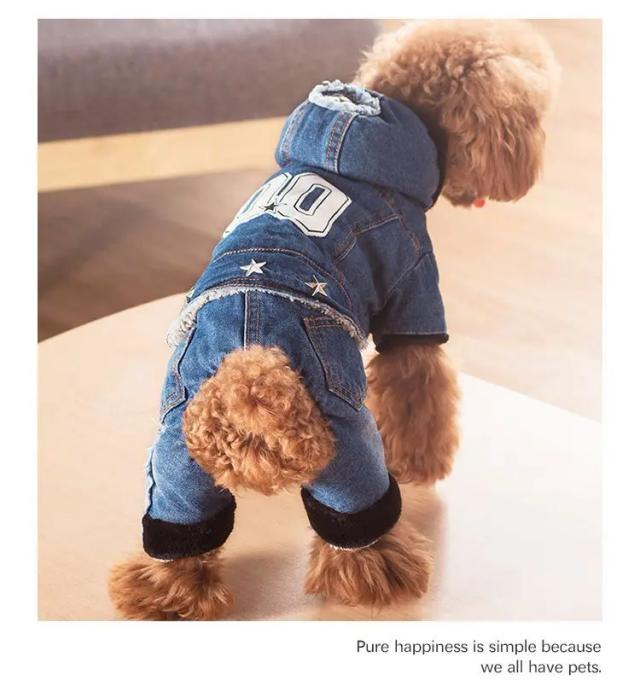 Macacão Quente de Jeans para Cachorros com Quatro Pernas: Roupas Espessas para Outono e Inverno