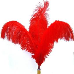 Decoração de Penas de Avestruz Vermelho, Penas Grandes para Artesanato, Top de Carnaval, Feriado, Acessórios para Casamento, Decoração, 15-70cm, - Image 6