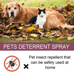 Spray de pulgas e mosquitos, Tratamento de peles para cães e gatos, Assassino de pulgas domésticas, S1Z7 - Image 5
