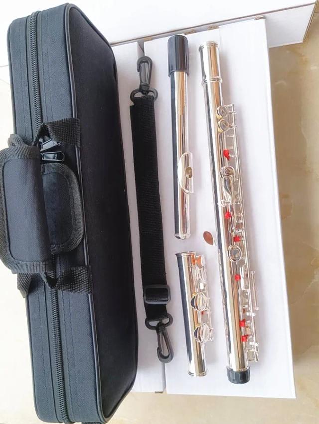 Flauta Prata Profissional 211SL C Tuning E-Key Alta Qualidade com Música Grátis