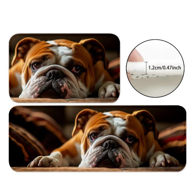 Tapetes Antiderrapantes e Absorventes para Cães: Ideal para Salas de Jogos, Banheiros, Cozinhas e Mesas de Jantar