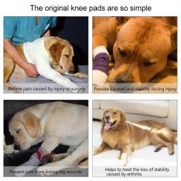 Leg Knee Brace Strap para cães, bandagem conjunta, Wrap Doggy, suprimentos médicos, cães acessórios - Image 3