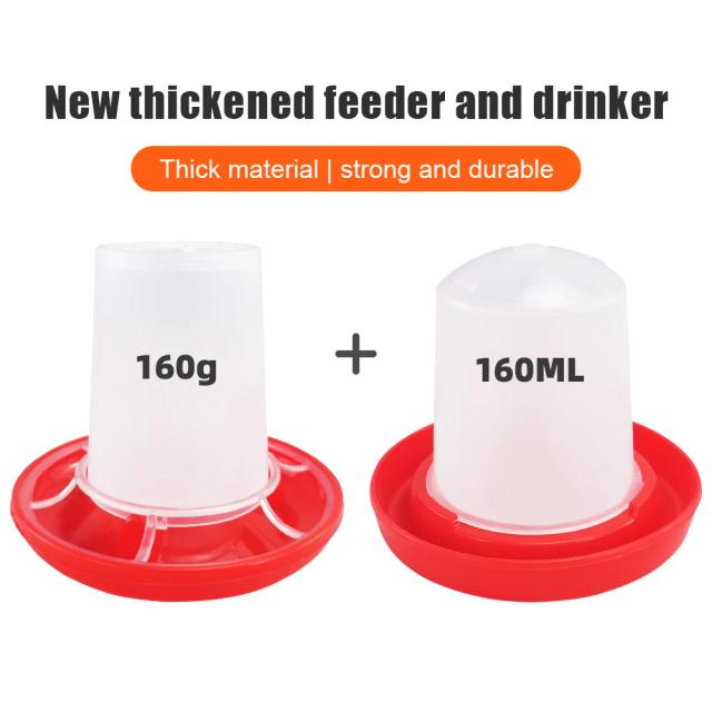 Conjunto de Alimentador para Aves e Galinhas com 160g/160ml - Ideal para Codornas e Outros Suprimentos de Alimentação