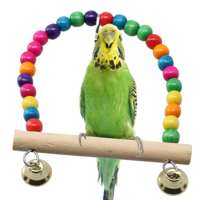 Conjunto Diversão e Treinamento: Brinquedo de Balanço para Pássaros, Gaiola de Papagaio e Poleiro Natural com Contas de Plástico