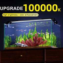 Pequeno LED Iluminação Do Aquário, Lâmpada Do Tanque De Peixes, À Prova D' Água, Iluminamento Plantas Aquáticas Ornamentais, Luz LED, Acessórios De Aquário - Image 3