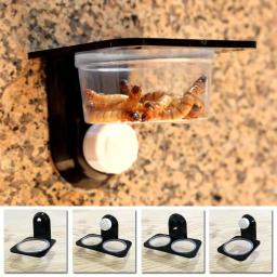 1 pçs tanque de répteis inseto aranha formigas ninho cobra gecko comida água tigela alimentação terrário criação alimentadores caixa animais estimação suprimentos - Image 1