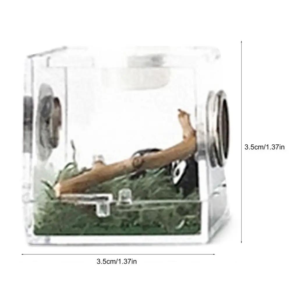 Caixa de alimentação transparente para répteis, terrário para lagarto, recipiente reprodutores para sapo-aranha e escorpião, terrário vivo, 1pc - Image 1