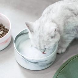 Tigela de cerâmica marmorecom suporte de madeira para animais, tigelas duplas para comida e água, suprimentos de alimentação elevados para filhotes pequenos e gatos - Image 4