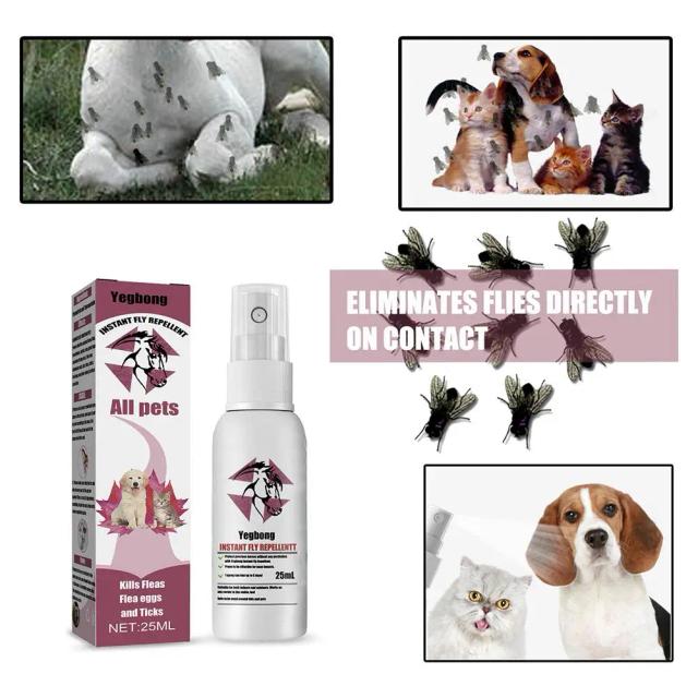 Spray Caseiro Eficaz para Eliminar Pulgas e Mosquitos em Cães e Gatos
