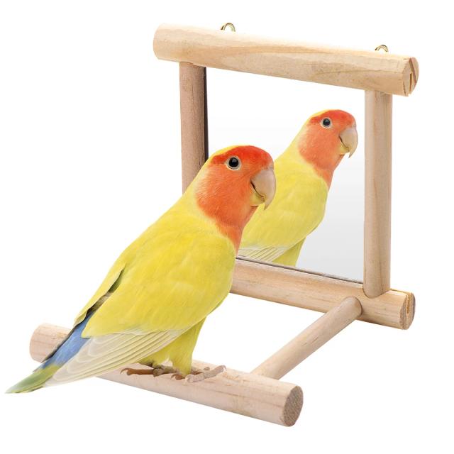 Espelho Interativo com Poleiro de Madeira para Pássaros - Brinquedo Suspenso para Papagaio, Budgie, Cocker, Conure e Finch