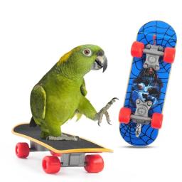 Bird Training Toy Suprimentos, carrinho de basquete, carrinho de compras Lovebird, sapatos, skate canário, acessórios papagaio - Image 4